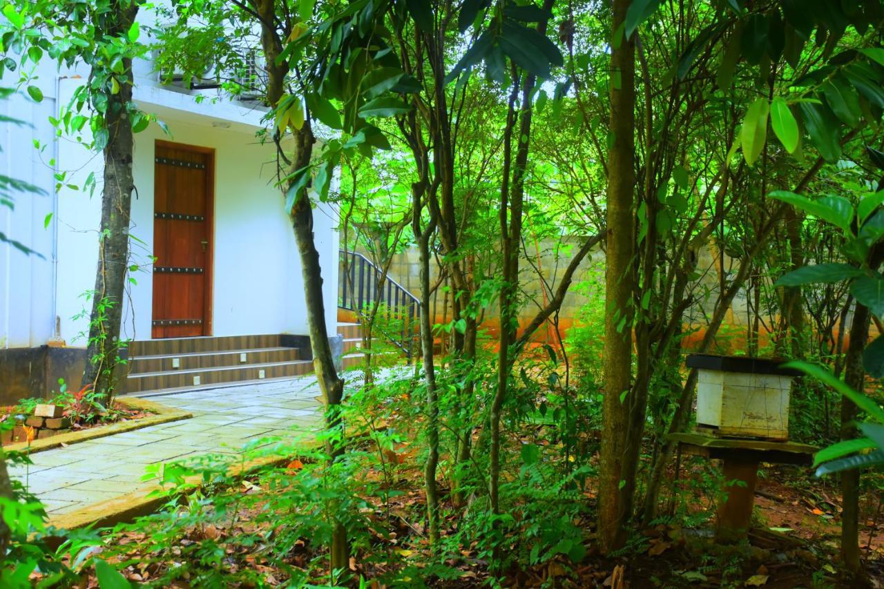 Forest Dew Udawalawa Udawalawe Bagian luar foto