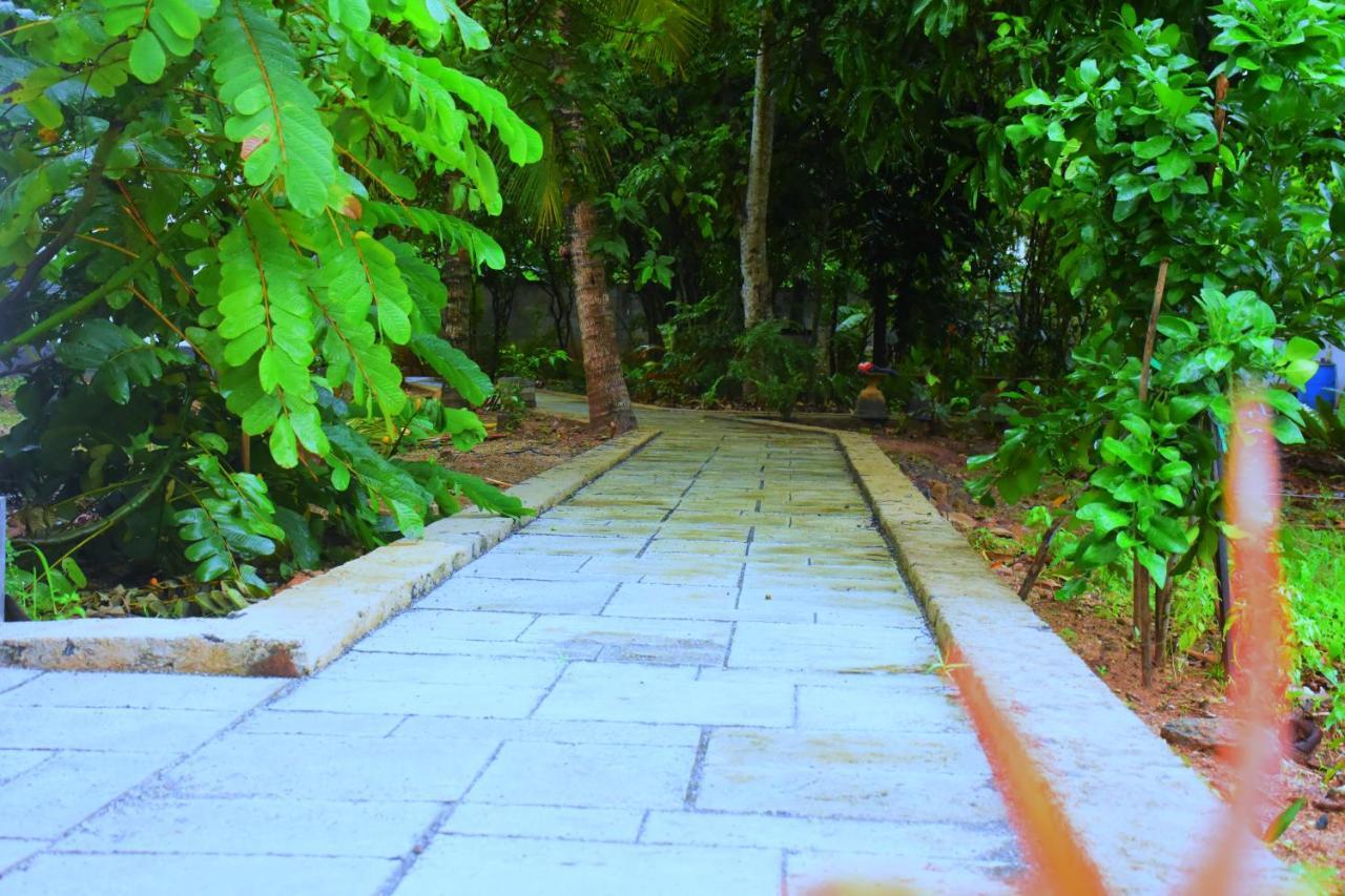 Forest Dew Udawalawa Udawalawe Bagian luar foto